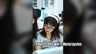 ?ポーチと円筒形 - 電動バイクにはどちらが適していますか?